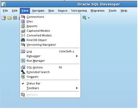 关于oracle sql developer界面 