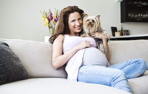 焦虑的孕妇 怀孕5个月被小猫咬伤,对肚子里的宝宝有影响吗 