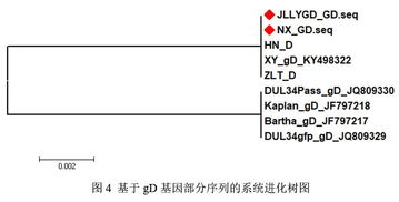 防疫大数据丨猪丨猪伪狂犬病2019年上半年检测情况出炉,野毒感染情况比较普遍