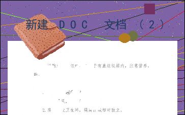 新建 DOC 文档 2 