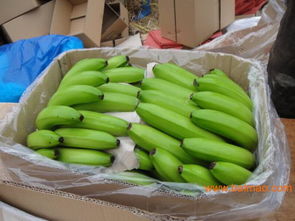 香蕉产地在哪里,广西香蕉产地排名？