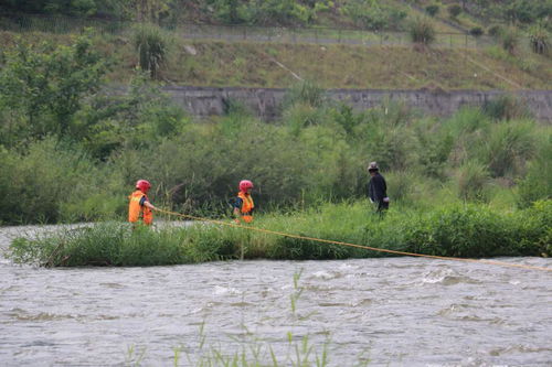 巴中一老人钓鱼突遇上游涨水被困河中央,消防成功救出