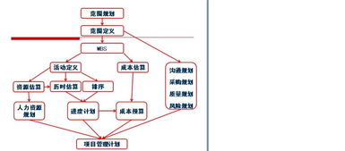 项目管理的input（输入）和output（输出）是什么意思