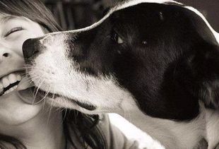 8个理由告诉你为什么不能拒绝狗狗的热吻 