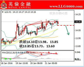 什么是黄金 期货 股票 现货白银 外汇 原油啊？这些都是属于金融投资产品吗？