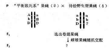 植物细胞可以渗透吸水或失水.将带 皮 的细嫩的茎纵切后插入两烧杯中.如下图所示. 1 已知b侧的细胞壁比a侧的细胞壁薄.易伸展.判断30 min后可能出现的形状是 2 将同一植物细胞依次浸于蒸馏水 