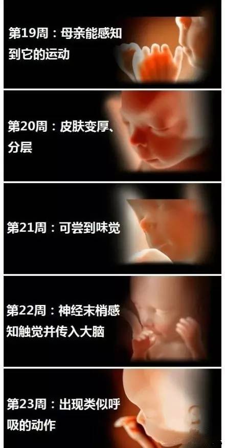 胎宝宝在妈妈肚子里怕什么 原来他们是这么敏感