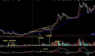 股票市场中的大非、小非是怎么回事？