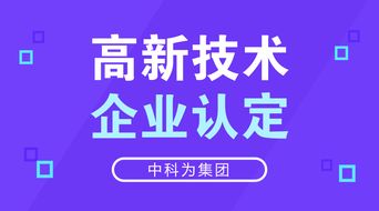 如果高新技术企业申报造假，需承担什么法律责任