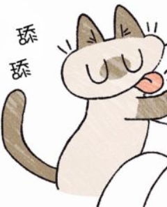 猫猫表情包 小豆泥表情包
