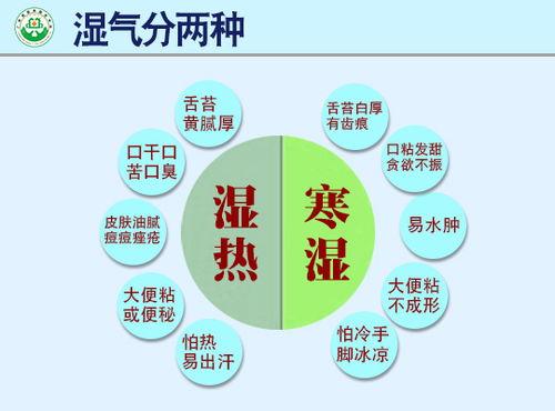 医养融合平台调理堂第三期开讲 万人清体 湿气重是万病的根源