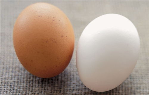醋泡鸡蛋祛斑小窍门，醋泡鸡蛋应该怎么擦在脸上去斑