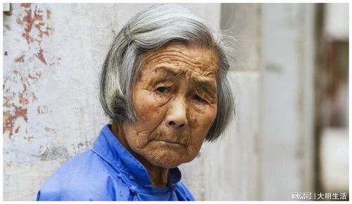 五十年之后,留守老人将全部过世,中国的农村会变成什么样子