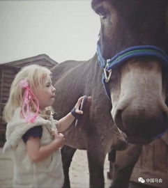 一头命悬一线的驴和一个2岁脑瘫女孩互相治愈的美好故事 