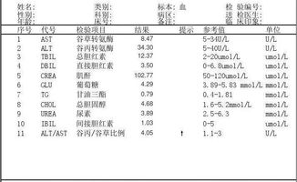 3分钟get肝功能报告解读方法