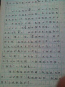 以错误为题,写一篇600字的作文,不要百度的 