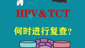 HPV阳性,复查TCT正常,有必要做活检吗