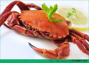 乙肝病人能吃海鲜吗 乙肝病人能吃螃蟹吗