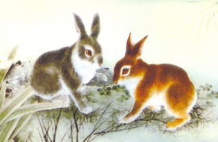 1975年属兔的人2018年运程 