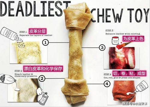 狗狗的牛皮磨牙棒是非常危险的玩具,它对牙齿根本没好处