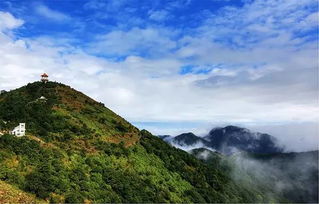 银瓶山森林公园管理处地址在哪里 (银瓶山有免费停车场吗现在)