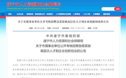 体制内保障 市场化薪酬 遂宁拟引进6名高端产业人才到企业创新创业