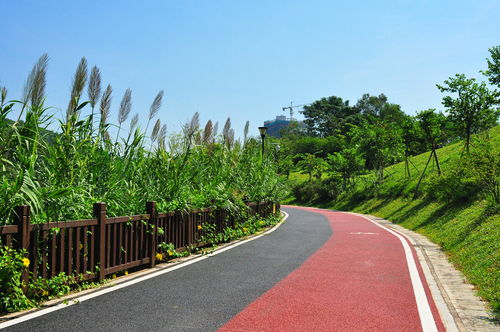 深圳龙岗 红花岭低碳生态公园