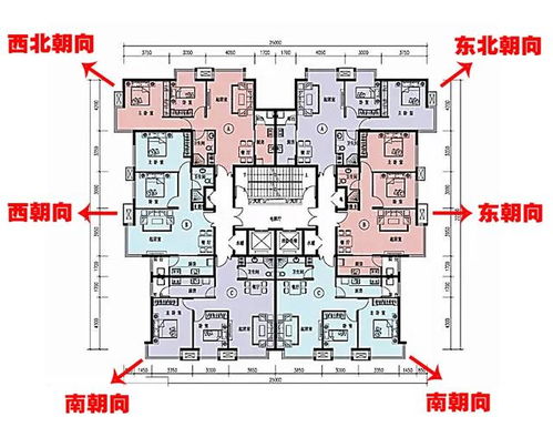 为什么说有些买房者聪明 房型优先考虑这几点,难怪买的都是好房