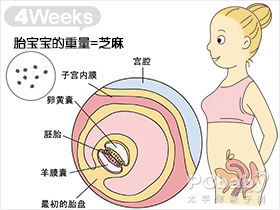 怀孕第一个月需要注意什么东西