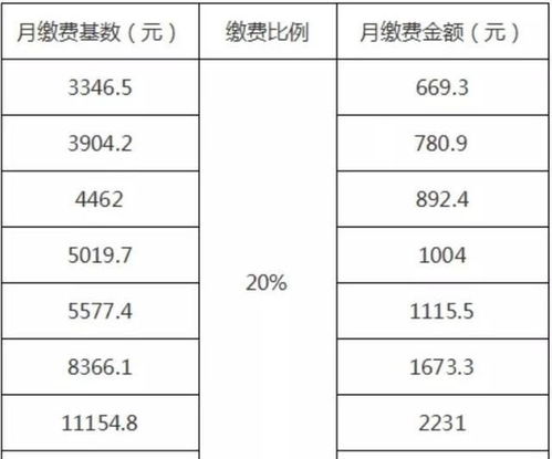 每月缴纳基本养老保险费,养老缴费基数档次