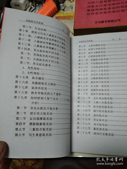 中华起名词典 高级姓名学辞典上下册全 起名学
