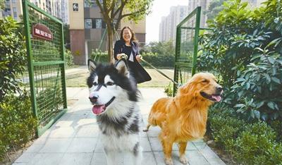 宁波养犬新规草案提交市人大审议 拟规定城区每户限养一只