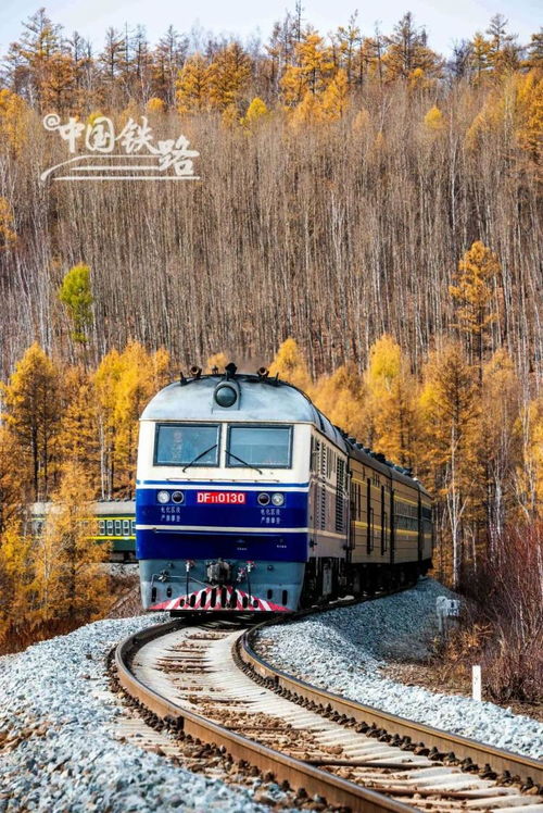 秋日特辑 开往秋天的火车,美到窒息