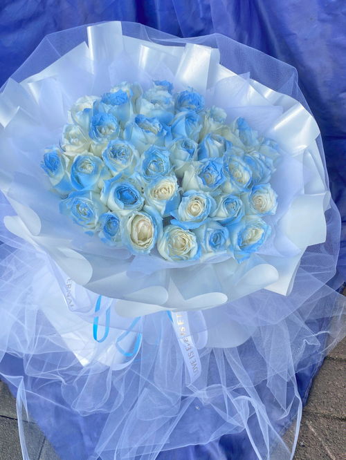 33朵碎冰蓝适合送什么人 碎冰蓝玫瑰不能随便送人