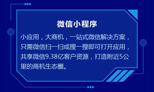 泉州最大的网络公司是哪家?