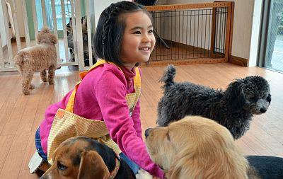 日本推出城市狗狗租赁服务,陪玩陪逛让你感受动物之爱 