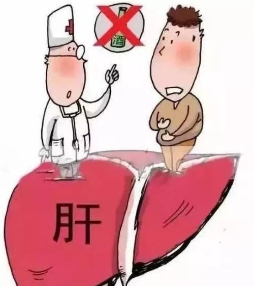 为什么长时间熬夜和喝酒的人献血，医院不要