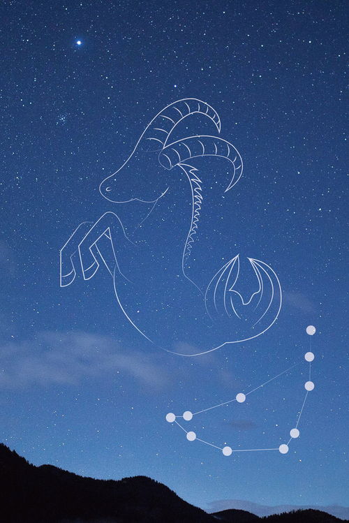 摩羯座星座背景图背景图片免费下载 千库网 