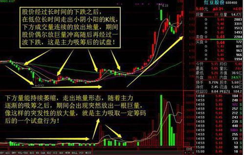 2022年10月沪深两市横盘时间最长的股票