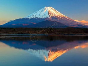 在日本箱根和富士山哪个更好玩