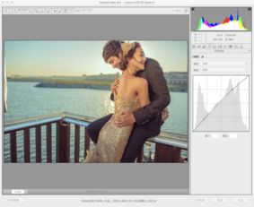 PS湖边大气清新婚纱照片后期调色修图教程 