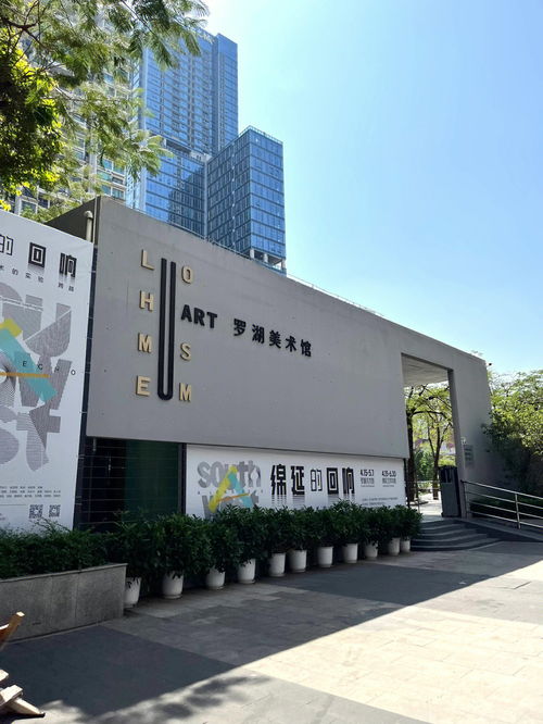 深圳新展 罗湖美术馆 绵延的回响 