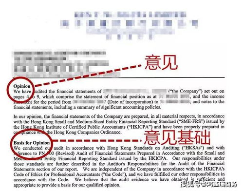 2个股东的有限责任公司年检时可以不出具审计报告的相关法律文件是哪一条？