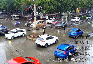 狂风暴雨 今天中午肇庆市区天昏地暗,下了一场好爽的大雨 还看到了这一幕...