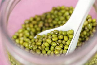 哺乳期可以吃绿豆吗湖南绿色食品网
