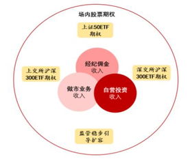 哪些券商可进行股票期权