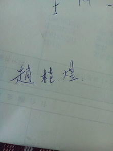 我的名字是赵桂煜,怎么写才好看,写在纸上发来 