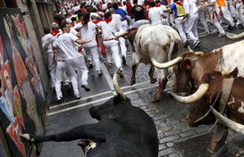 Running of bulls at San Fermin festival 