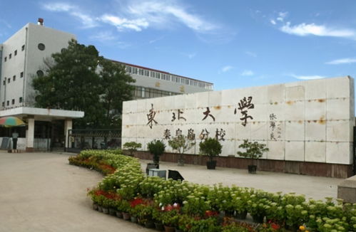 秦皇岛的专业大学有哪些大学
