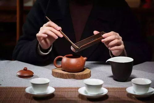 专家建议多喝茶的图片是，长期喝茶的人，后来身体怎样了上火喝蒲公英茶好还是菊花茶好